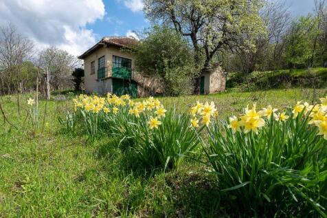 Property Image 20