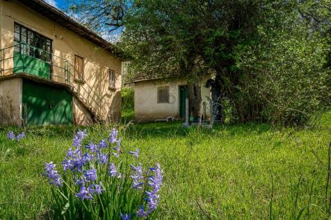 Property Image 43