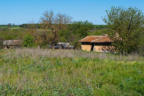 Property Image 11