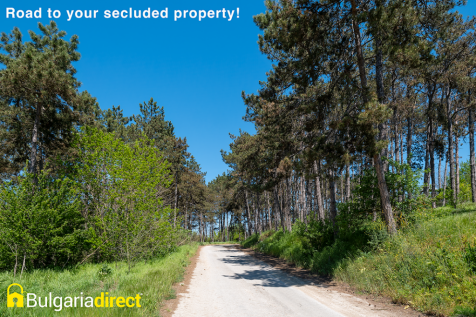 Property Image 29