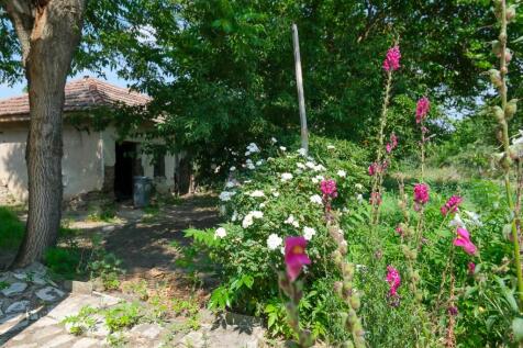 Property Image 163