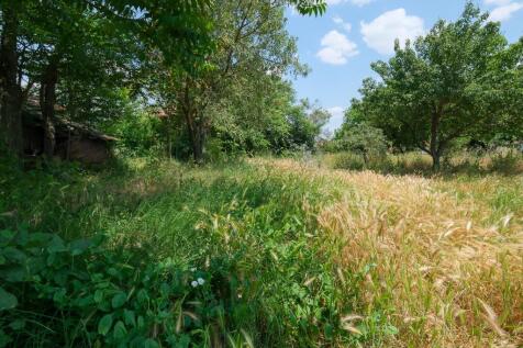 Property Image 56