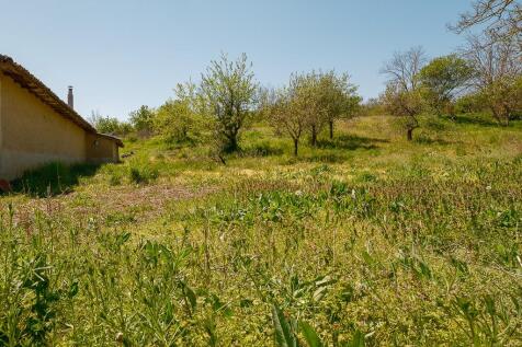Property Image 64