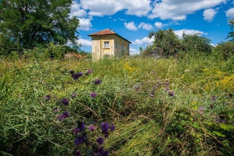 Property Image 23