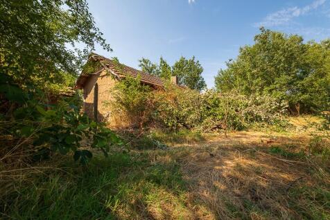 Property Image 44