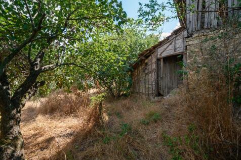 Property Image 56