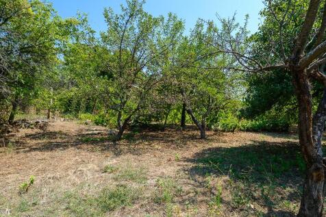 Property Image 58