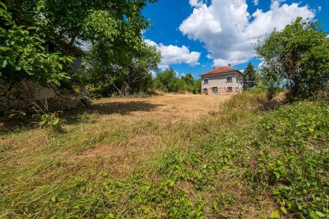 Property Image 61