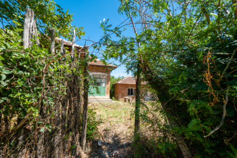 Property Image 18
