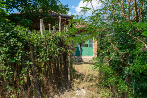 Property Image 26
