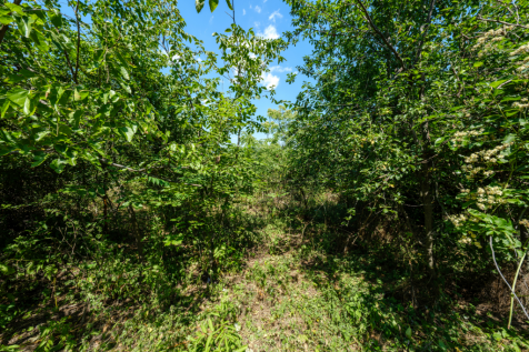 Property Image 60