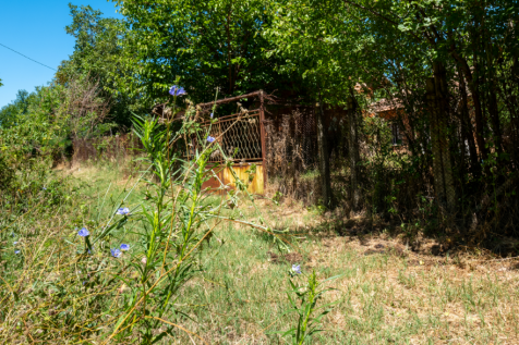 Property Image 68