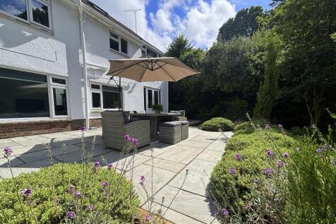 Rear Terrace