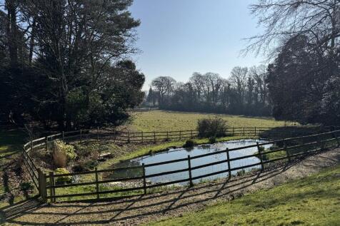 Communal Pond &amp; Area