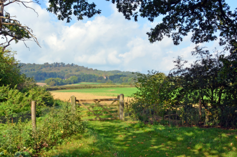 Cranleigh Farm