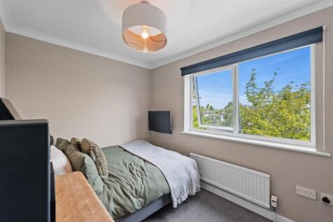 P1569396-Edit.jpg
