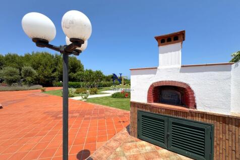 Pizza oven
