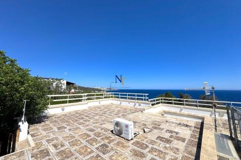 Roof Terrace