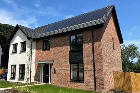 Plot 5