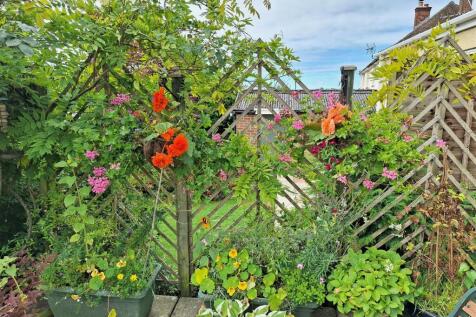Property Image 25