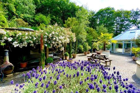 Property Image 38