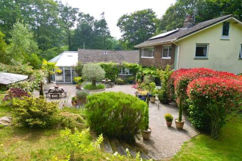 Property Image 58
