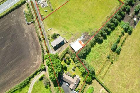 Paddock/Land