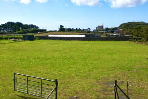 Paddock/Land
