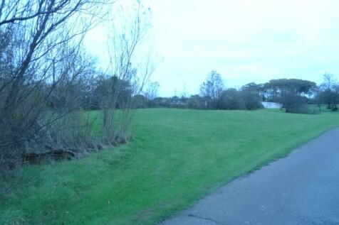 DSC02978.JPG