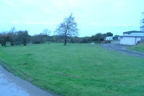 DSC02986.JPG