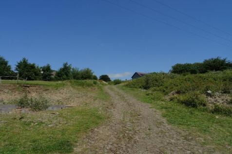 DSC03900.JPG