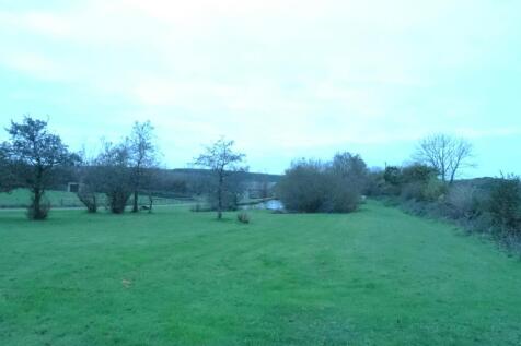 DSC02990.JPG