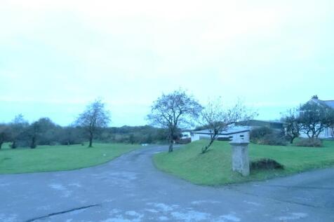 DSC03009.JPG