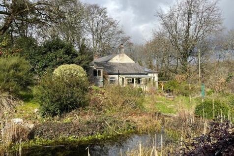 pond