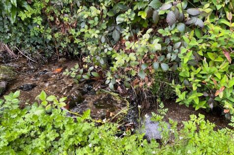 Stream