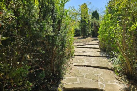 Property Image 39