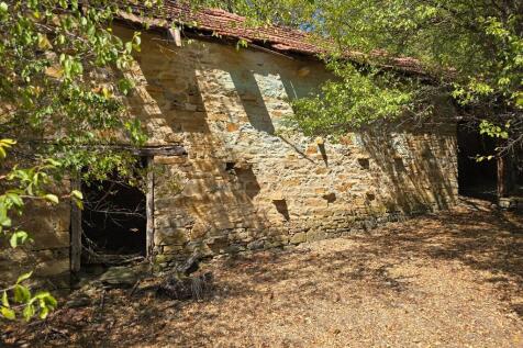 Property Image 33