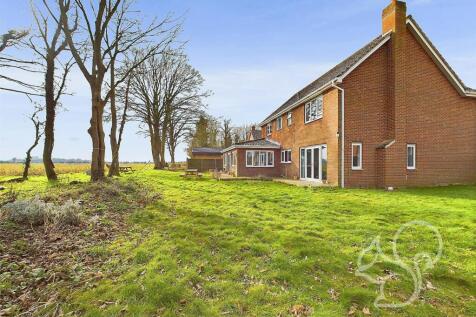 Rear of Property
