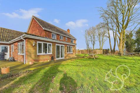 Rear of Property