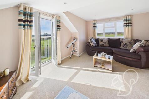 Living Room / Bedroom
