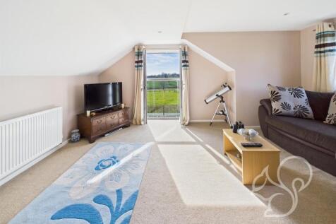 Living Room / Bedroom