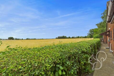 Field Views