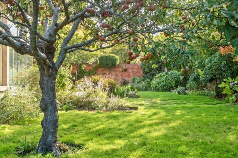 Property Image 38