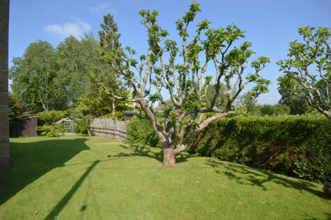 SIDE GARDEN