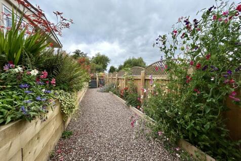 Garden 4