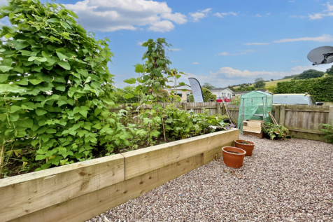 Vegetable Space