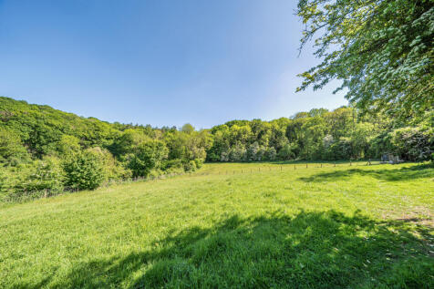 REAR MEADOW