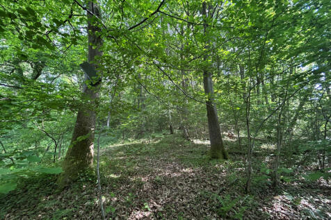 WOODLAND 1