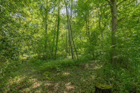 WOODLAND