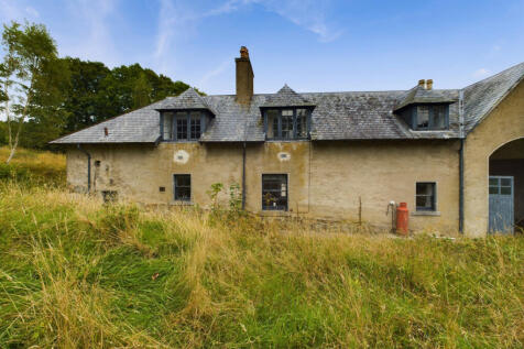 Property Image 41